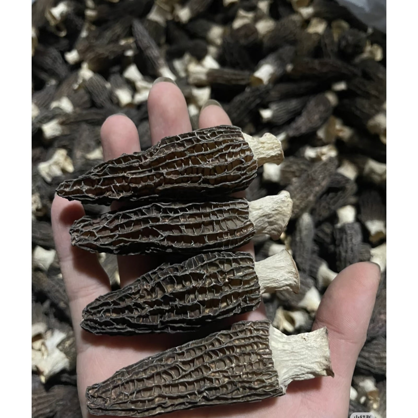 Dried Specialty Goods