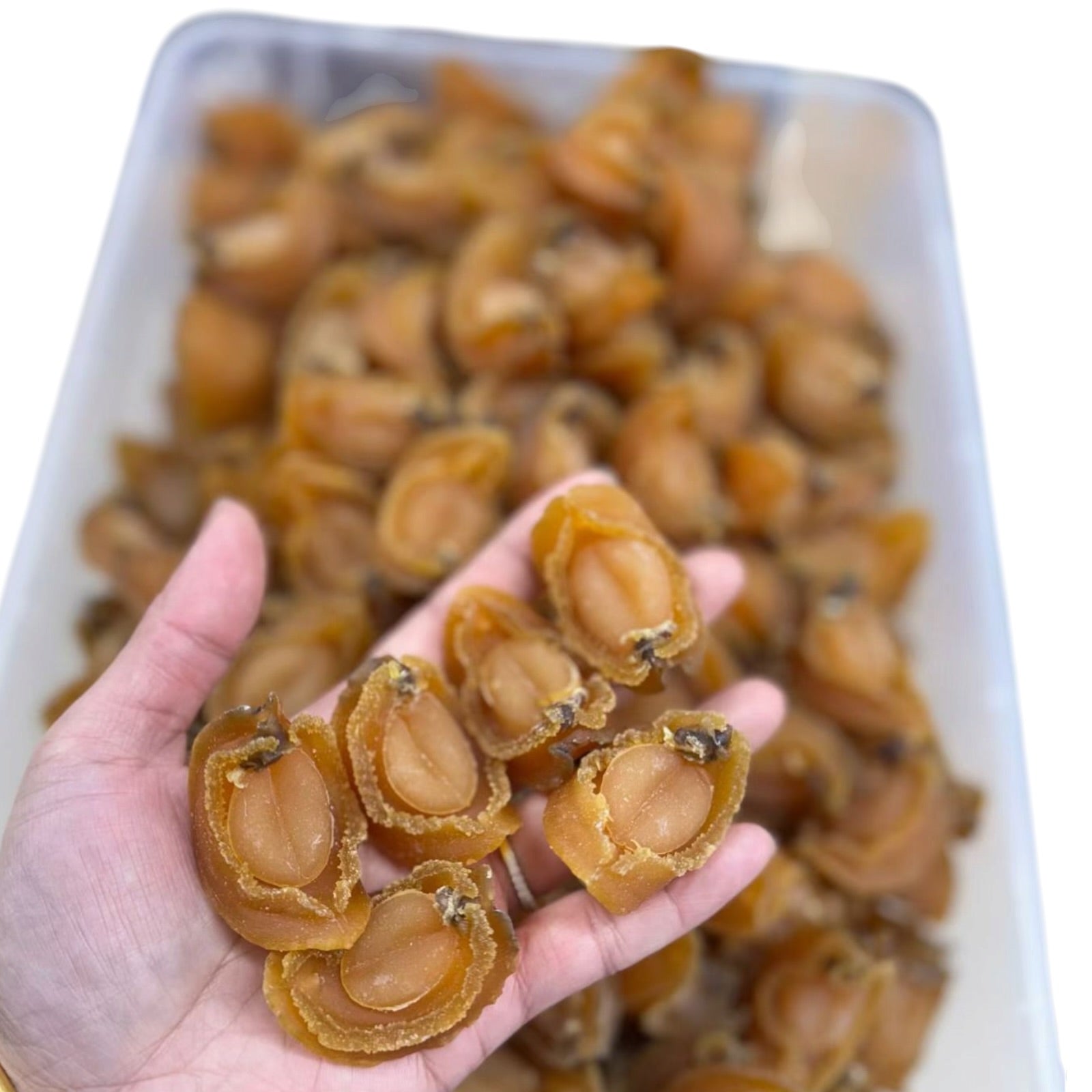 Premium Dried Abalone 25 头 野生南美小干鲍鱼 8oz - 16 oz