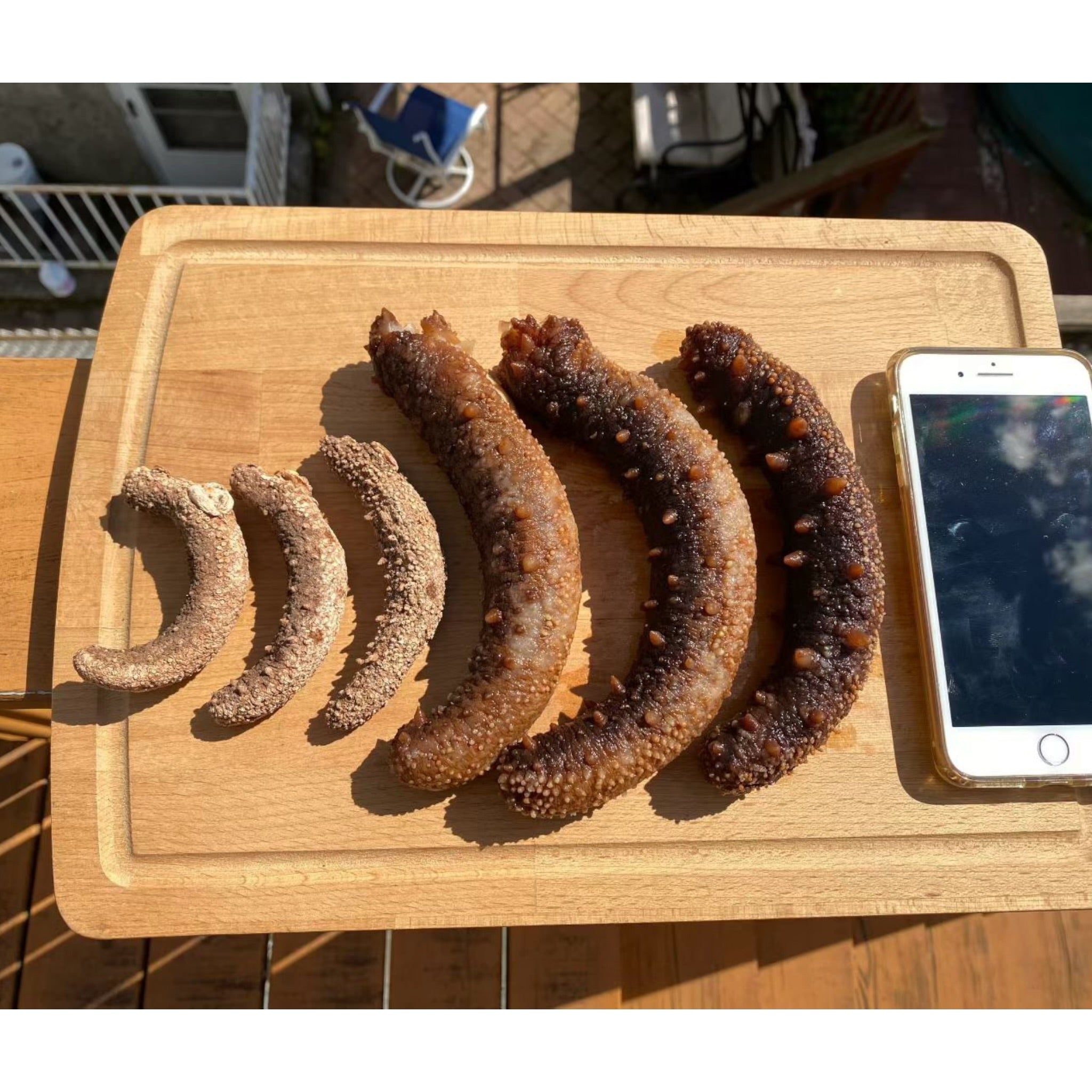 1LB  Size XL Red sea cucumber sun dried from Alaska 阿拉斯加大红参 15pc per LB