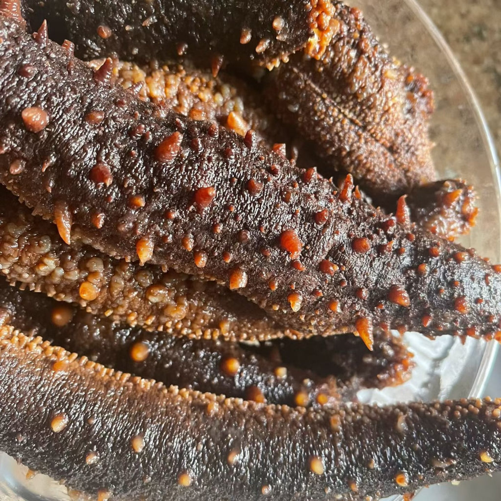 1LB  Size XL Red sea cucumber sun dried from Alaska 阿拉斯加大红参 15pc per LB