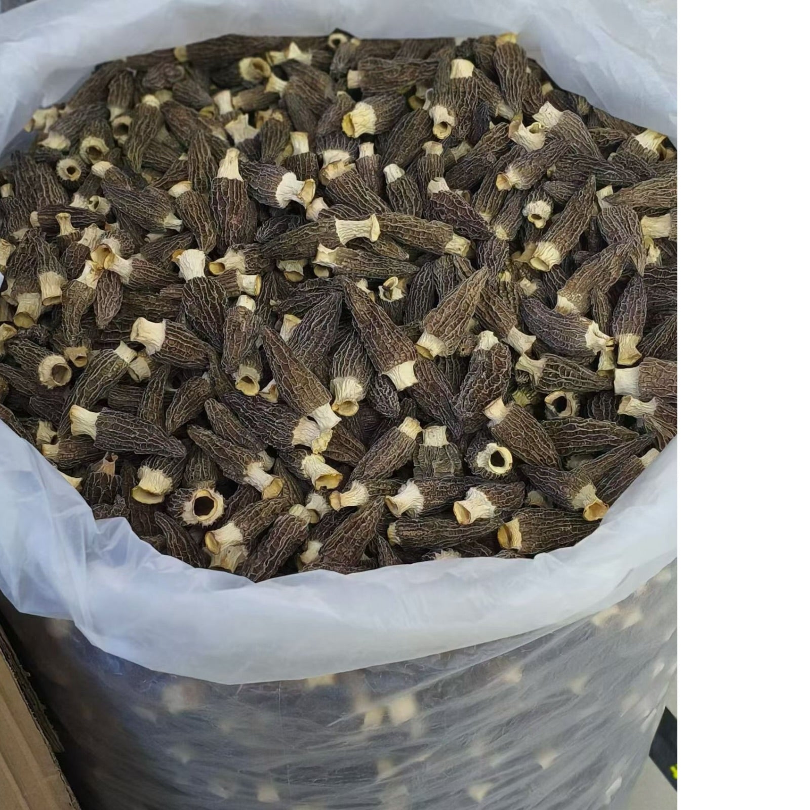 JUMBO WILD Morel Mushrooms, Whole (Dried) - Full 1 Pound