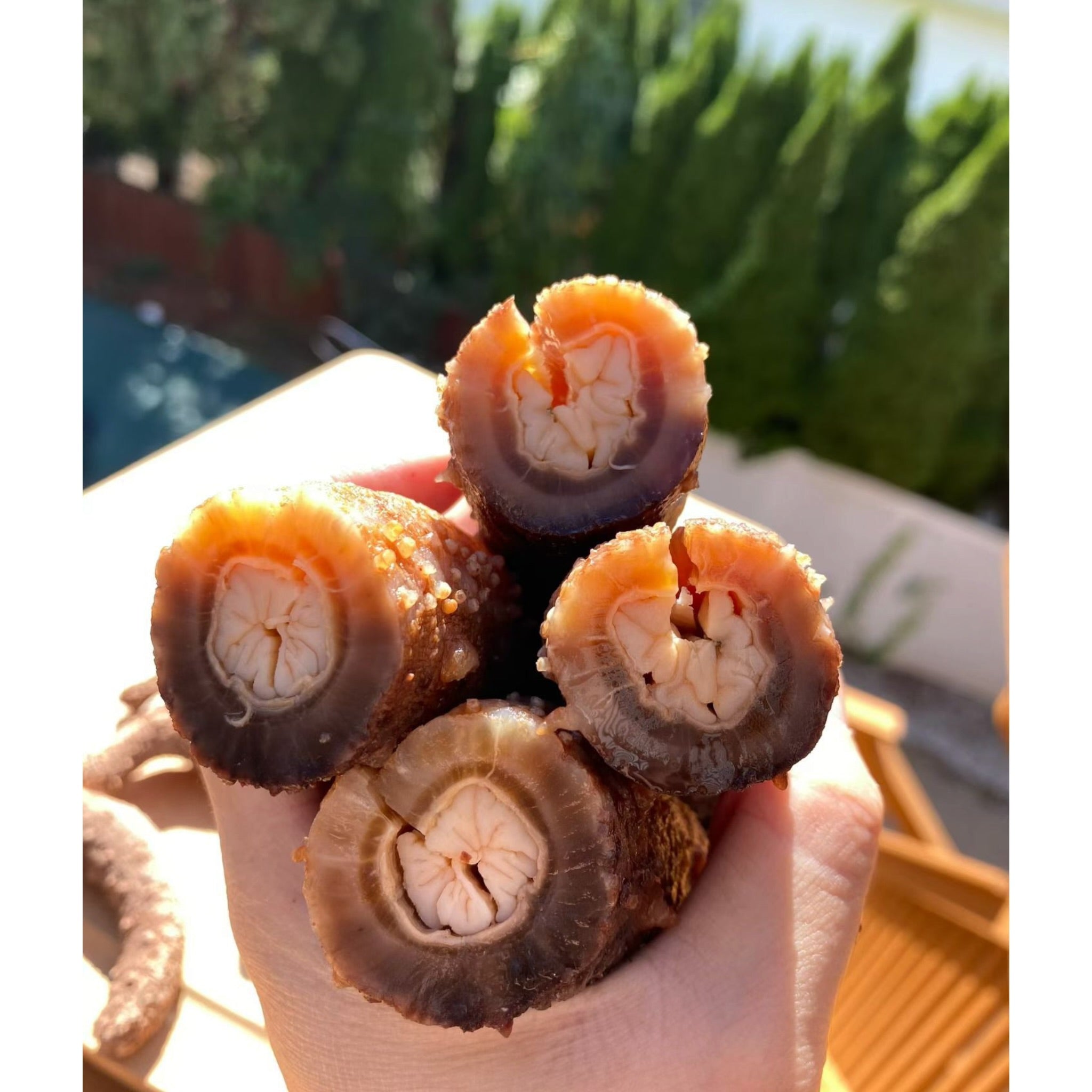 1LB  Size XL Red sea cucumber sun dried from Alaska 阿拉斯加大红参 15pc per LB