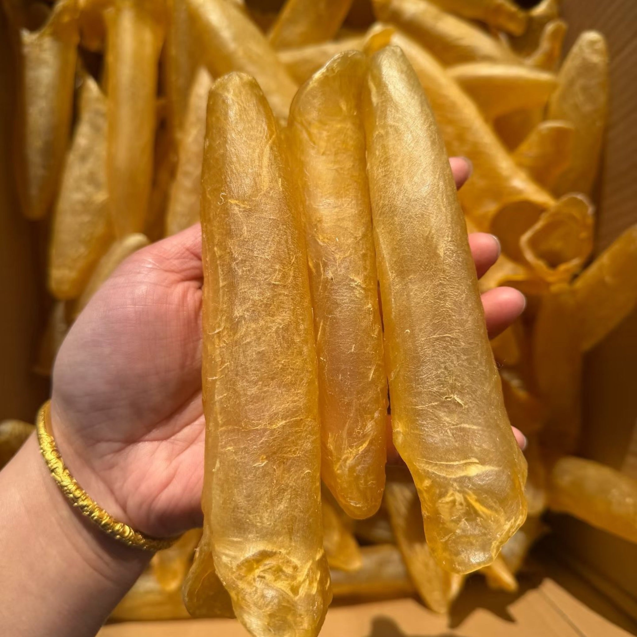 USA Premium Natural wild caught fish maw, Rich in protein, 20-23 pieces per LB, approximately Medium size 纯天然 野生 黄花筒胶鱼胶