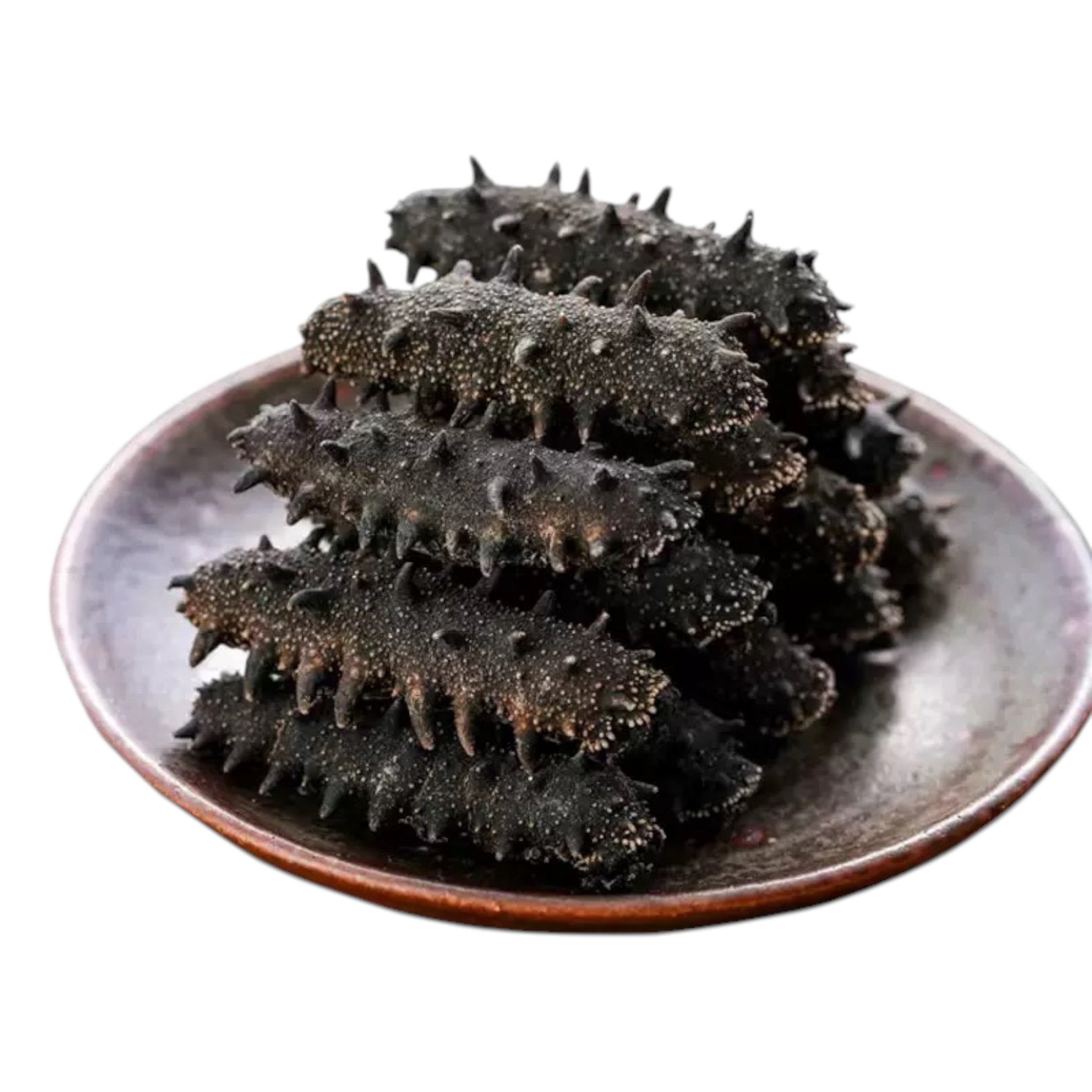 Japan Hokkaido Sea Cucumber Sea Cucumber Rich in Protein野生海参 淡干关东 刺参