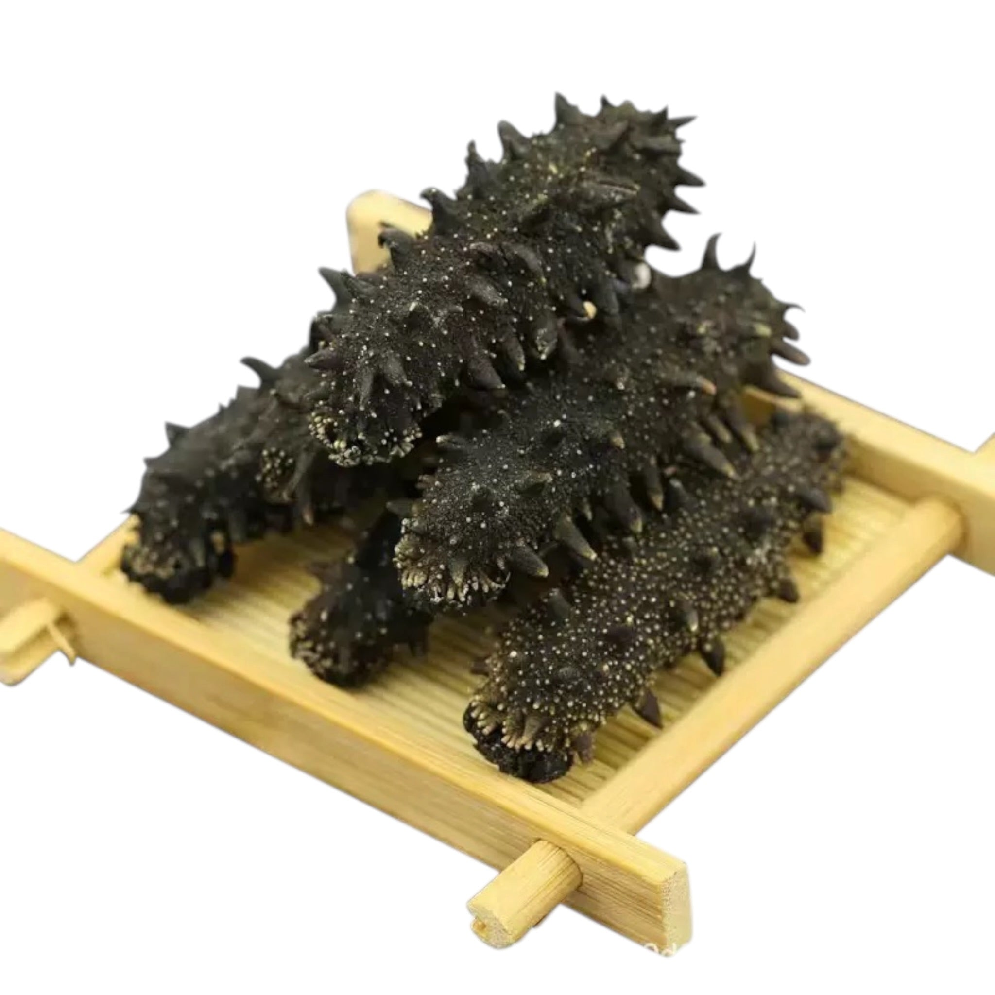 Japan Hokkaido Sea Cucumber Sea Cucumber Rich in Protein野生海参 淡干关东 刺参