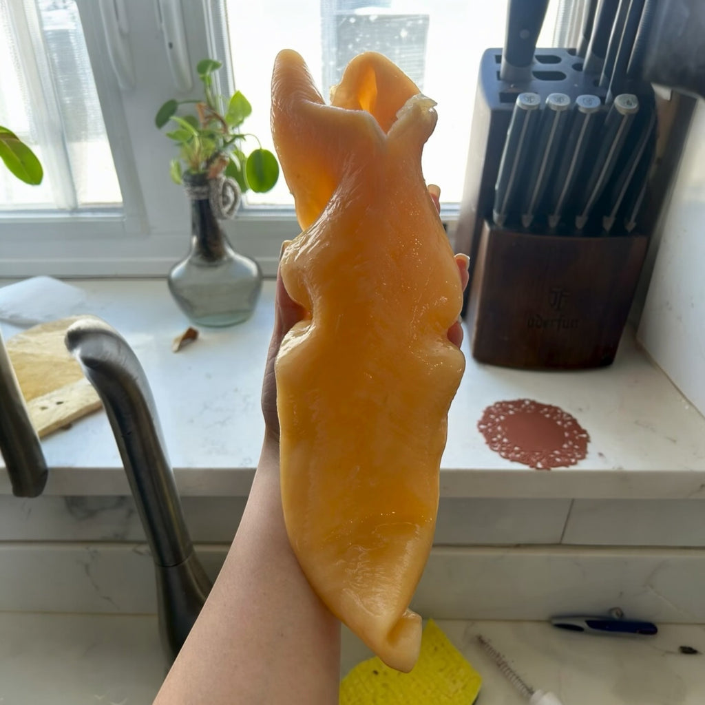 Premium Fish Maw Large Size 5 Pieces For 1 LB