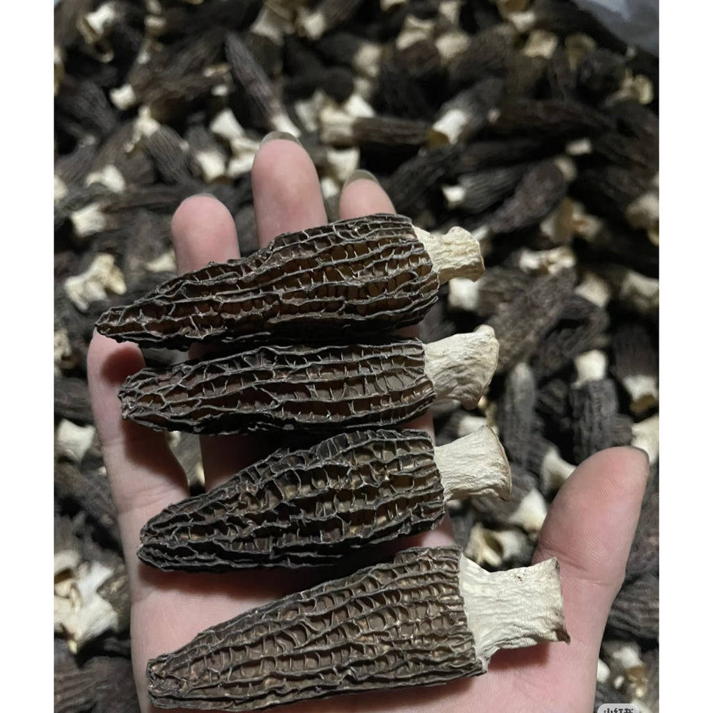 JUMBO WILD Morel Mushrooms, Whole (Dried) - Full 1 Pound