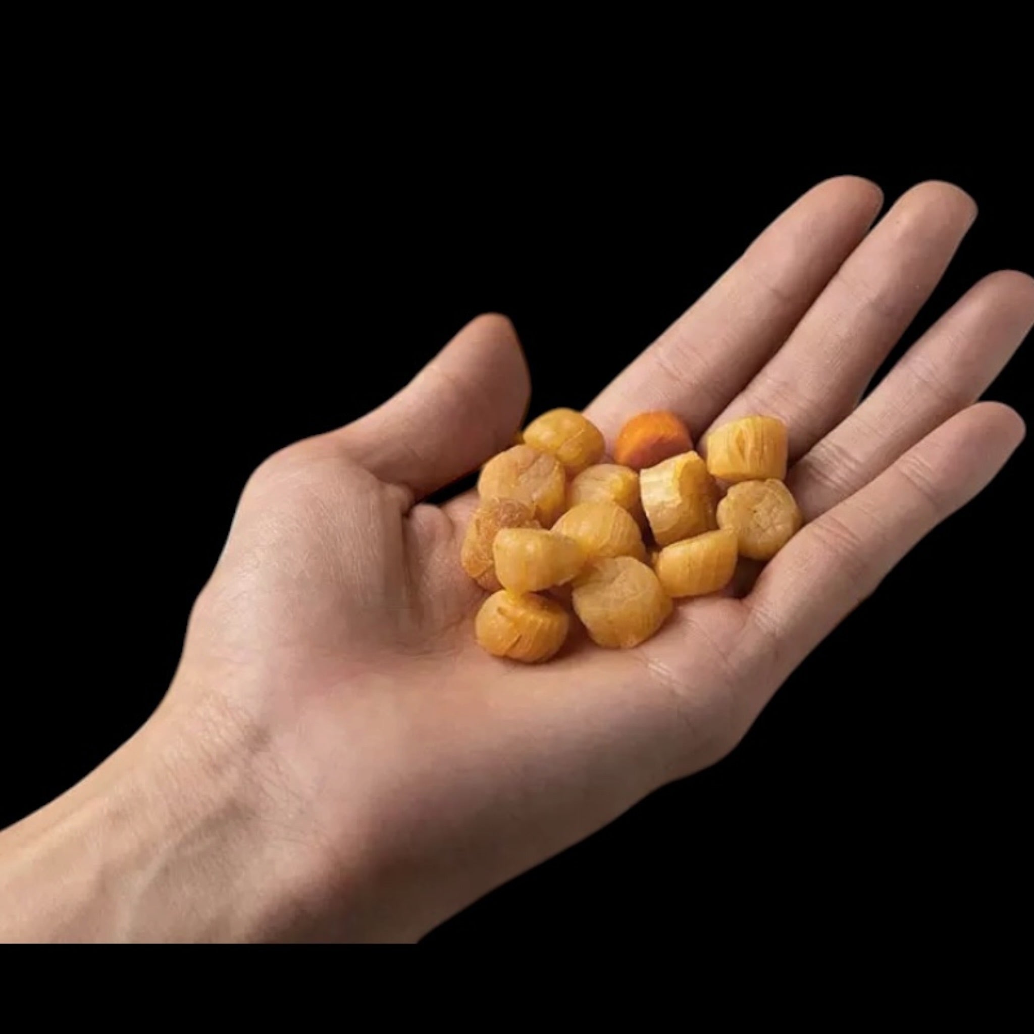 Premium Japanese Hokkaido Dried Scallops Grade A S size 干元贝 日本瑶柱 260pc per LB
