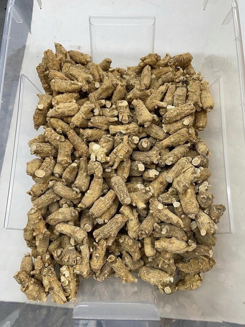 Half Wild American Wisconsin 7 years Ginseng 正宗美国威州半野生花旗參圆泡参