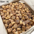Japanese Dried Scallops Grade A, X Large size 日本一等元贝 瑶柱 日本元贝 4 oz- 16 oz