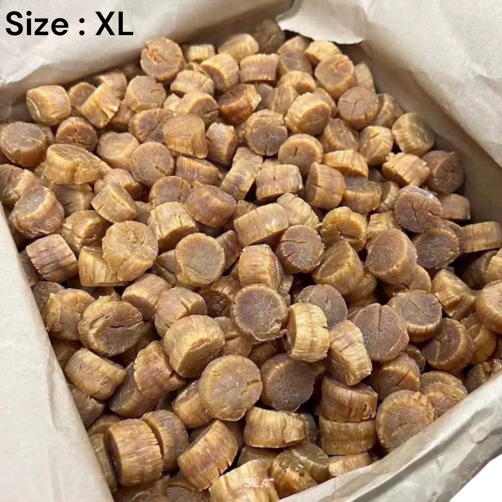 Japanese Dried Scallops Grade A, X Large size 日本一等元贝 瑶柱 日本元贝 4 oz- 16 oz