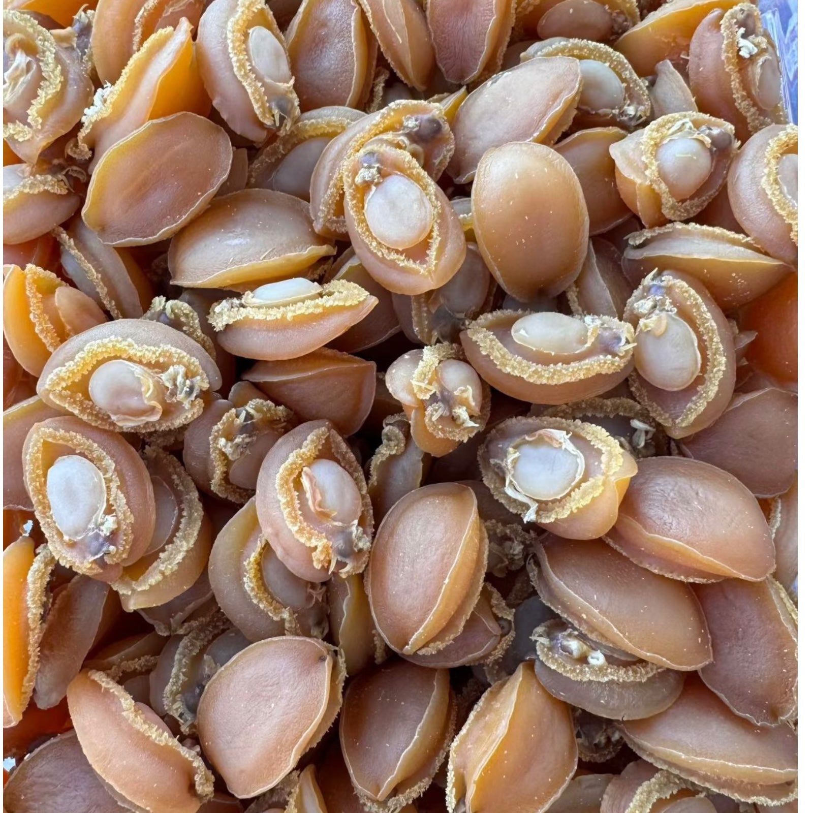 Premium Dried Abalone 35 头 野生南美小干鲍鱼 8oz - 16 oz