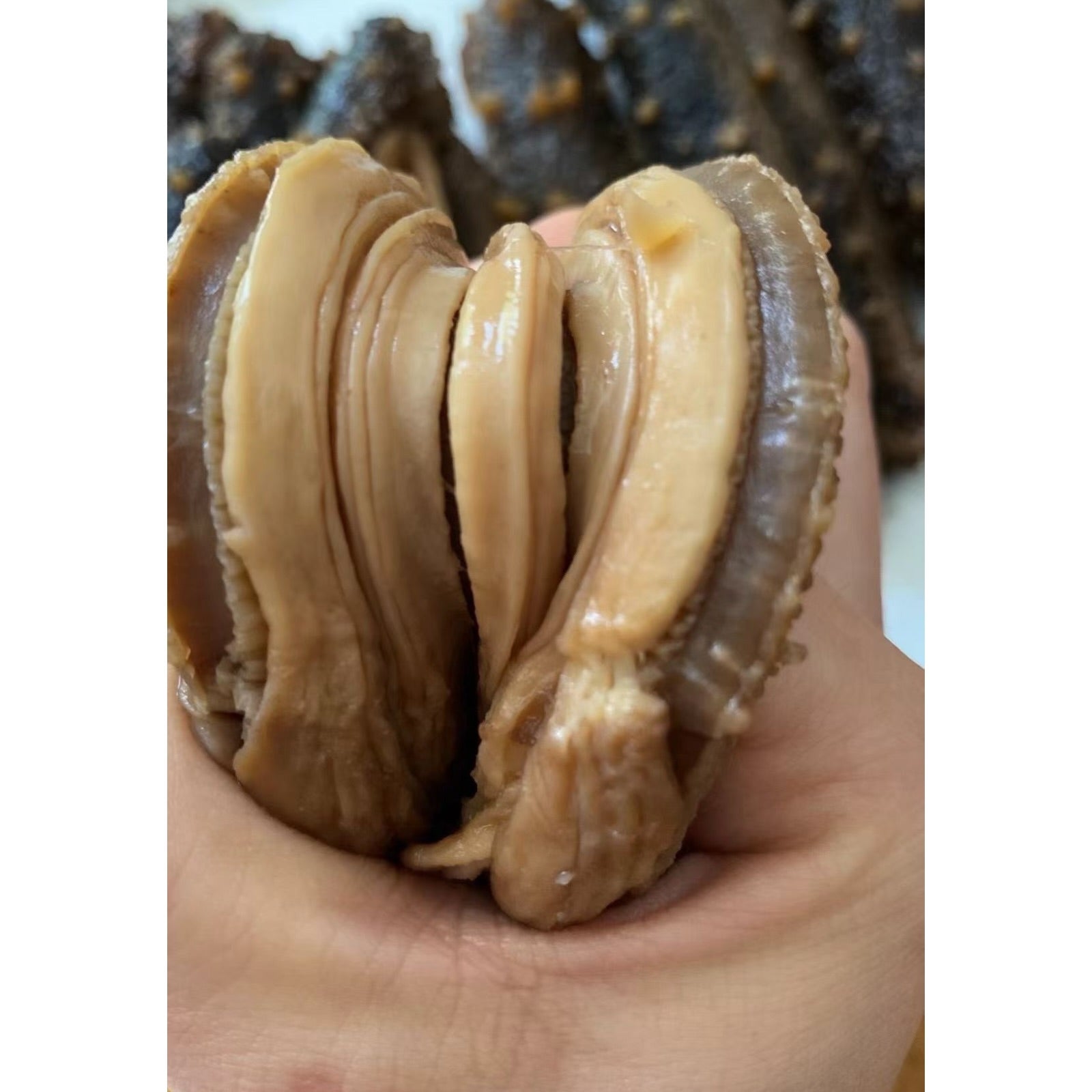 1LB Large Size Red sea cucumber natural sun dried from Alaska Grade 大号阿拉斯加红参