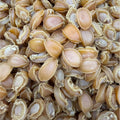 Premium Dried Abalone 80 头 野生南美小干鲍鱼 8oz - 16 oz