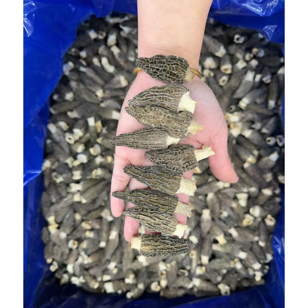 Medium WILD Morel Mushrooms, Whole (Dried) - 8oz- 16 oz USA